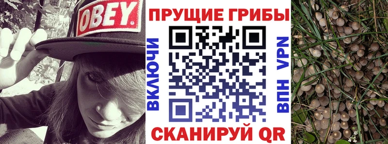 Галлюциногенные грибы прущие грибы Купить где Новый Оскол